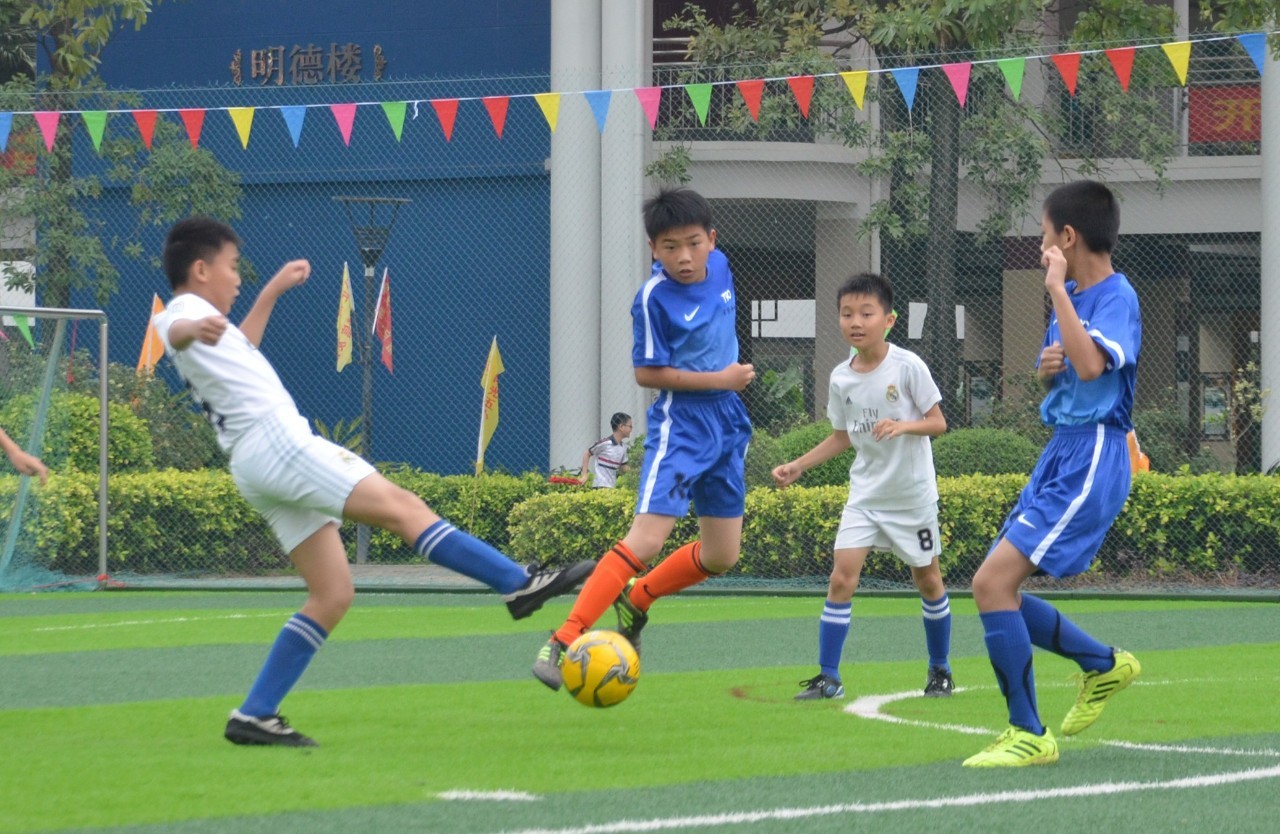 这就是苏群 这就是苏群