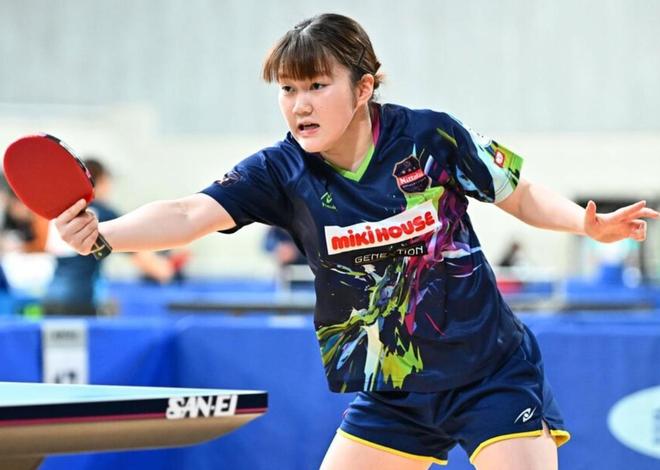 我们从未说 我们从未说