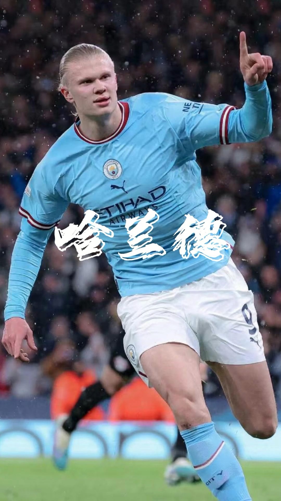 康纳 康纳
